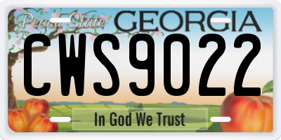 GA license plate CWS9022