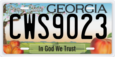 GA license plate CWS9023