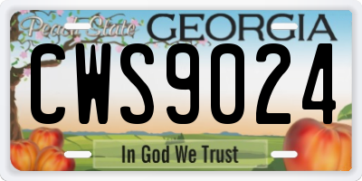 GA license plate CWS9024