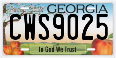 GA license plate CWS9025