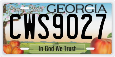 GA license plate CWS9027