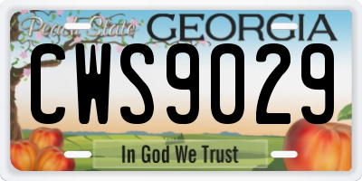 GA license plate CWS9029