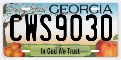GA license plate CWS9030