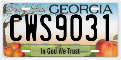 GA license plate CWS9031
