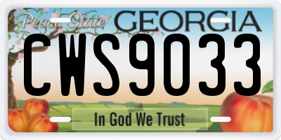GA license plate CWS9033