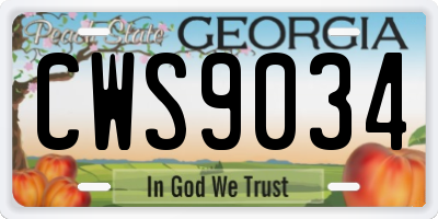 GA license plate CWS9034
