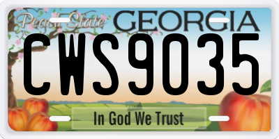 GA license plate CWS9035