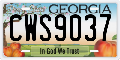 GA license plate CWS9037
