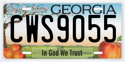 GA license plate CWS9055