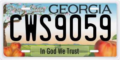 GA license plate CWS9059