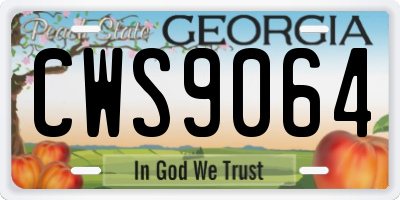 GA license plate CWS9064