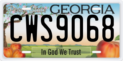 GA license plate CWS9068