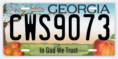 GA license plate CWS9073