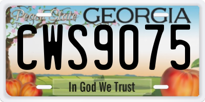 GA license plate CWS9075