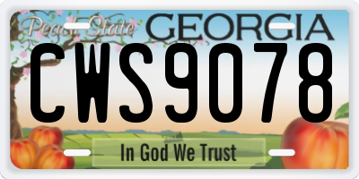 GA license plate CWS9078