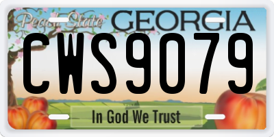 GA license plate CWS9079