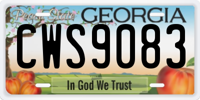 GA license plate CWS9083