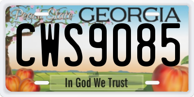 GA license plate CWS9085