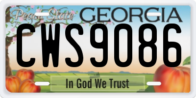 GA license plate CWS9086