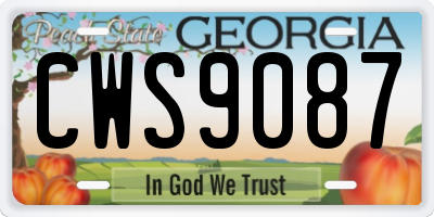 GA license plate CWS9087