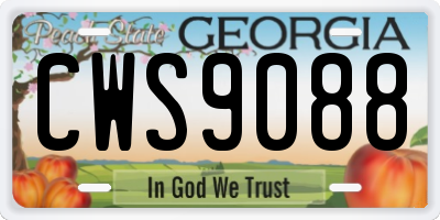 GA license plate CWS9088