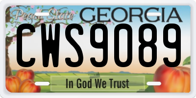 GA license plate CWS9089
