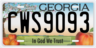 GA license plate CWS9093