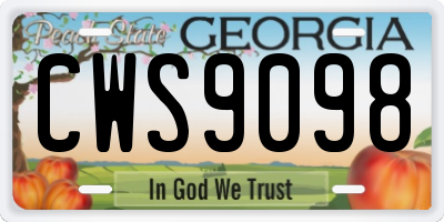 GA license plate CWS9098