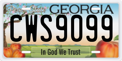 GA license plate CWS9099