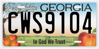 GA license plate CWS9104
