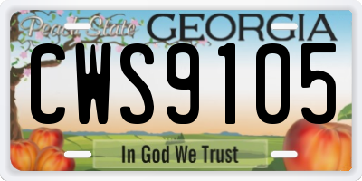 GA license plate CWS9105