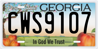 GA license plate CWS9107