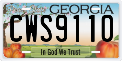 GA license plate CWS9110