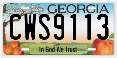 GA license plate CWS9113