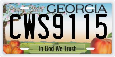 GA license plate CWS9115