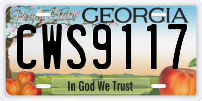 GA license plate CWS9117