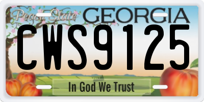 GA license plate CWS9125
