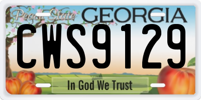 GA license plate CWS9129