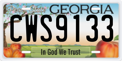 GA license plate CWS9133