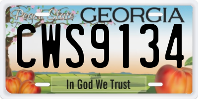GA license plate CWS9134