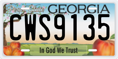 GA license plate CWS9135