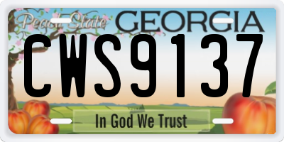 GA license plate CWS9137