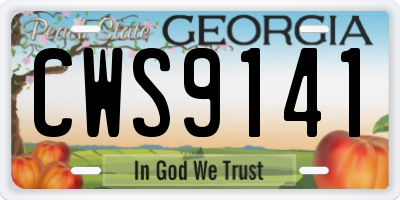 GA license plate CWS9141