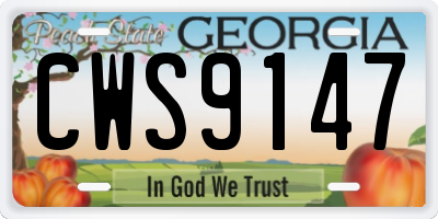 GA license plate CWS9147