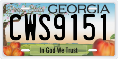 GA license plate CWS9151