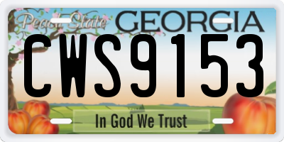GA license plate CWS9153