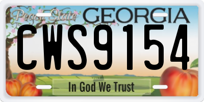 GA license plate CWS9154