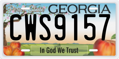 GA license plate CWS9157