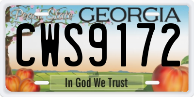 GA license plate CWS9172