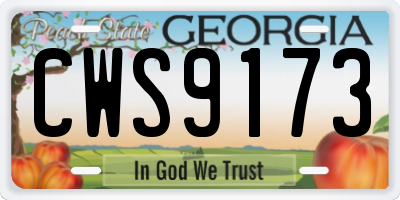 GA license plate CWS9173